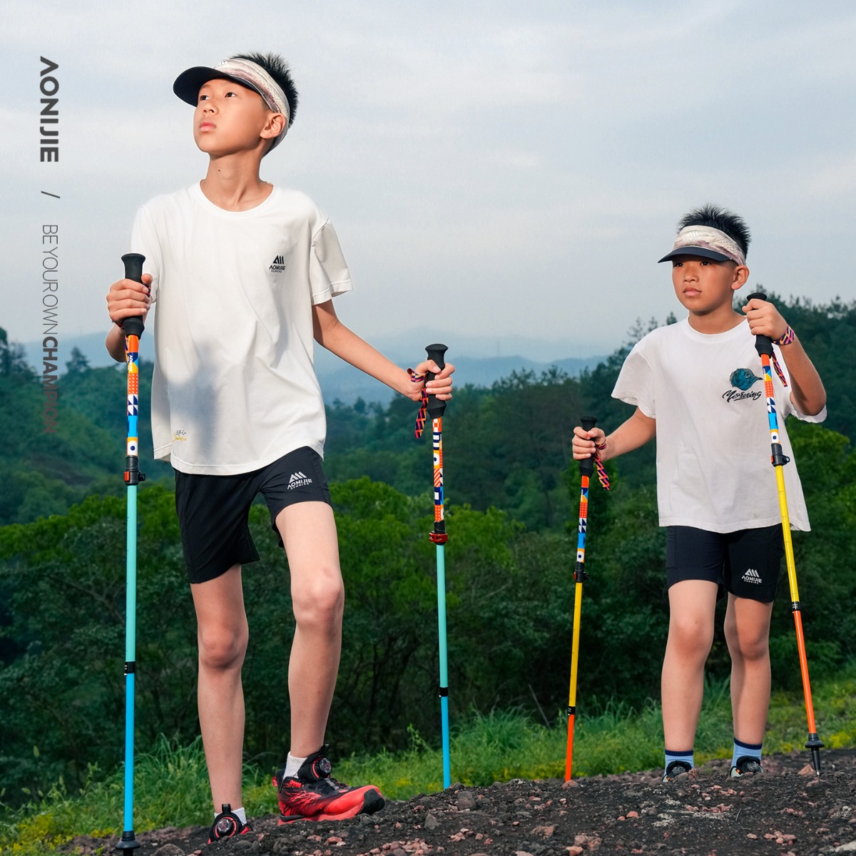 2PCS AONIJIE E4245 Kids' Ultra - огляд і ціна Trekking Pole Carbon