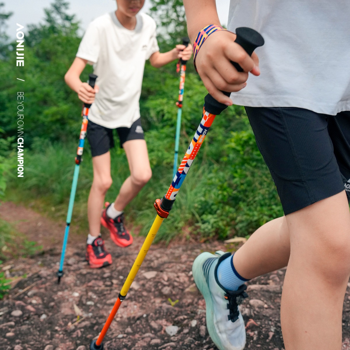 2PCS AONIJIE E4245 Kids' Ultra - огляд і ціна Trekking Pole Carbon